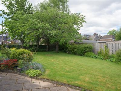 Picture 30